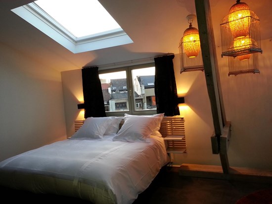 Gastenheren Tamara en Sven van Koto B&B in de tuin van hun Antwerpse woning